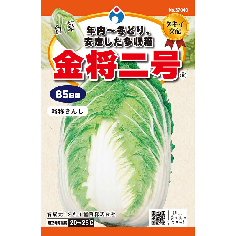金将二号白菜 / 【37040】 | 花さんぽ｜種子をはじめ園芸用品を