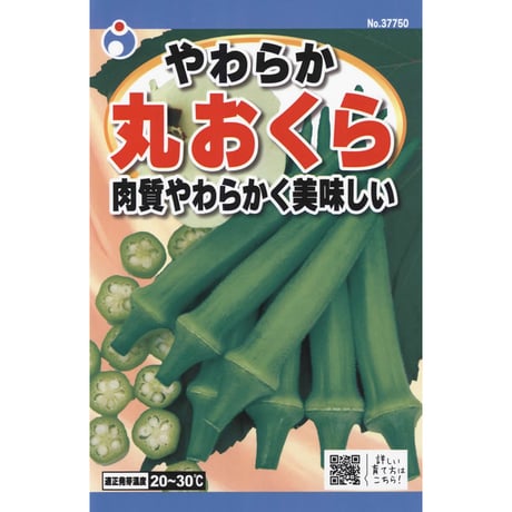 やわらか丸おくら　/　【37750】