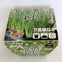 ◆三葉☘️◆ 11インチiPad Pro Wi‑Fiモデル 256GB（標準ガラス搭載）- シルバーを