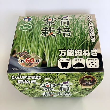 CATEGORY ねぎ | 花さんぽ｜種子をはじめ園芸用品を取り扱う