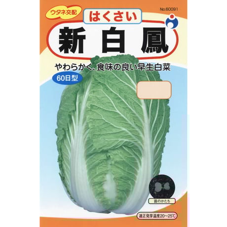 新白鳳白菜　/　【60091】