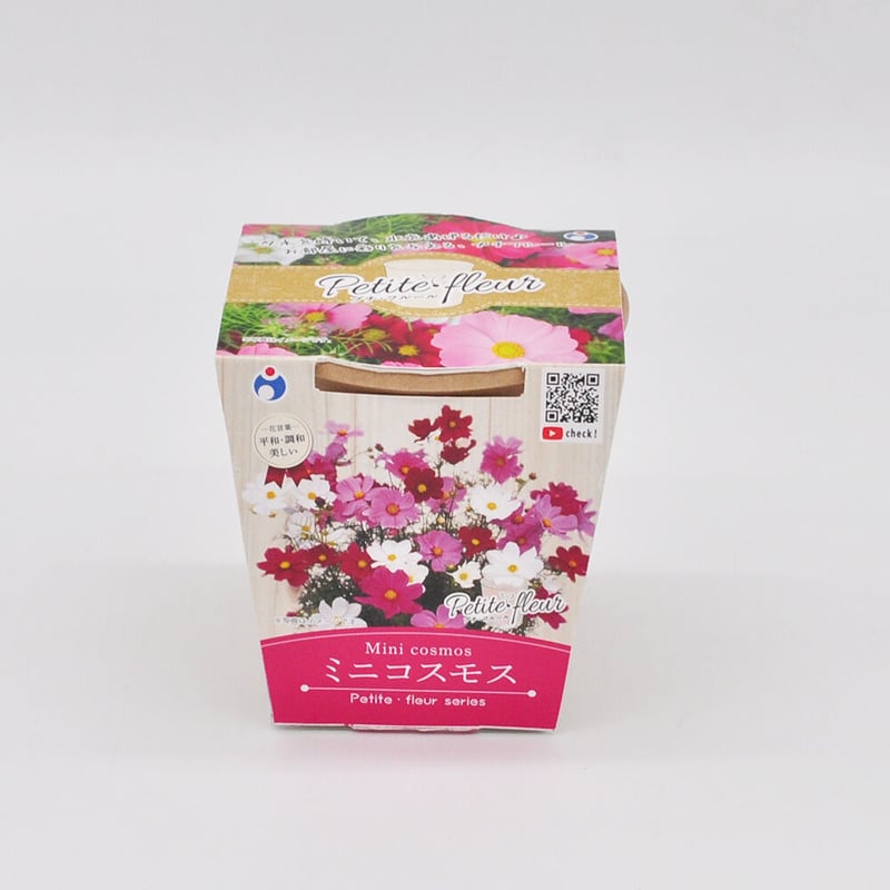 花の栽培キット ミニコスモス 【87068】 | 花さんぽ｜種子をはじめ園芸