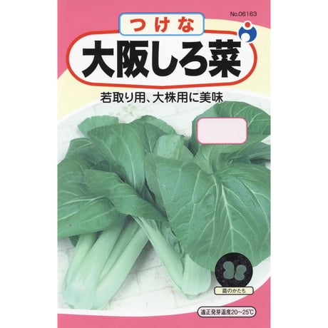 大阪しろな　/　【06163】