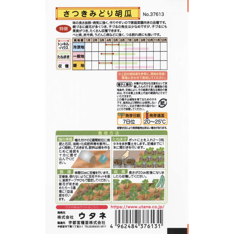 森のきゅうりさま依頼資料 強力みどりきゅうり 約1.5ml [2413] | 【メーカー名からタネを