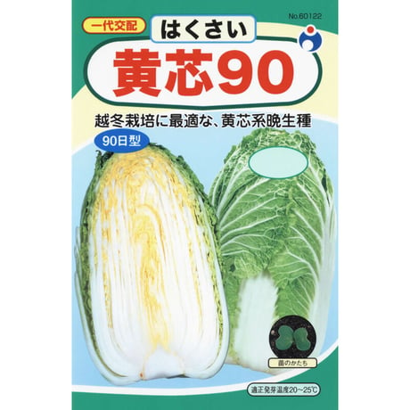 黄芯９０白菜　/　【60122】