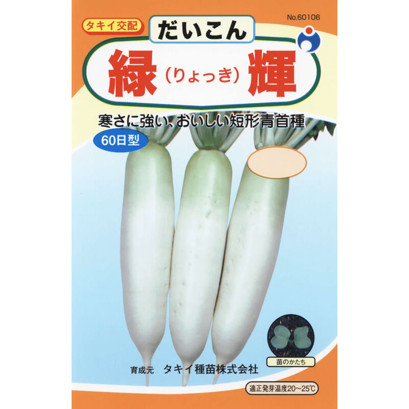 緑輝大根（だいこん） / 【60106】 | 花さんぽ｜種子をはじめ園芸用品