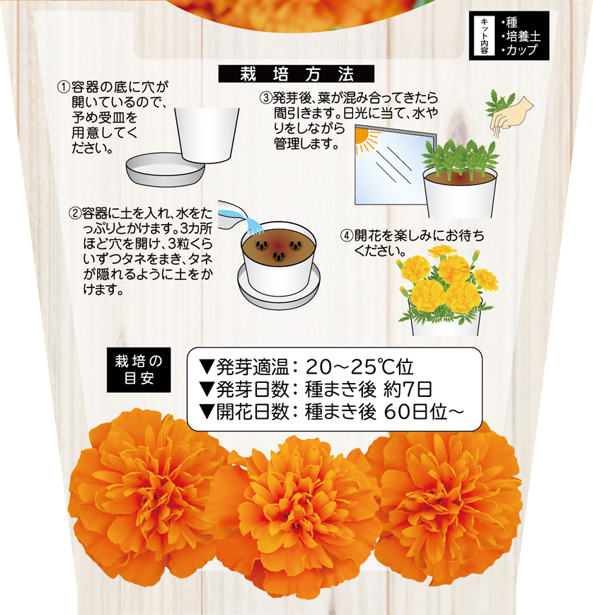 花の栽培キット マリーゴールド 【87064】 | 花さんぽ｜種子を