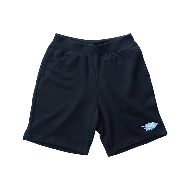 【新品タグ付】AURALEE SOFT RUBBER SHORTS sunroof racing logo