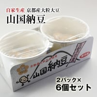 粒が大きい！豆の味しっかり！山国納豆(35g×2）6パック