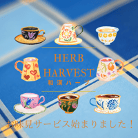 《お一人様一度だけ！》和漢ハーブティー　お味見2種！ブレンドセット　サンキューギフトチケット（500円）付き　《送料無料》