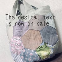 5&6 bag digital text  English