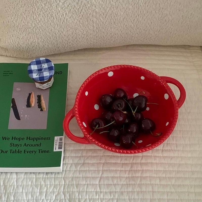 ノリタケ サンデフィヨドル セラミックボウル 4個セット ノリタケ