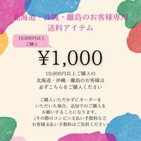 北海道・沖縄・離島のお客様専用送料アイテム
