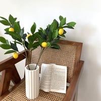 フェイクレモン