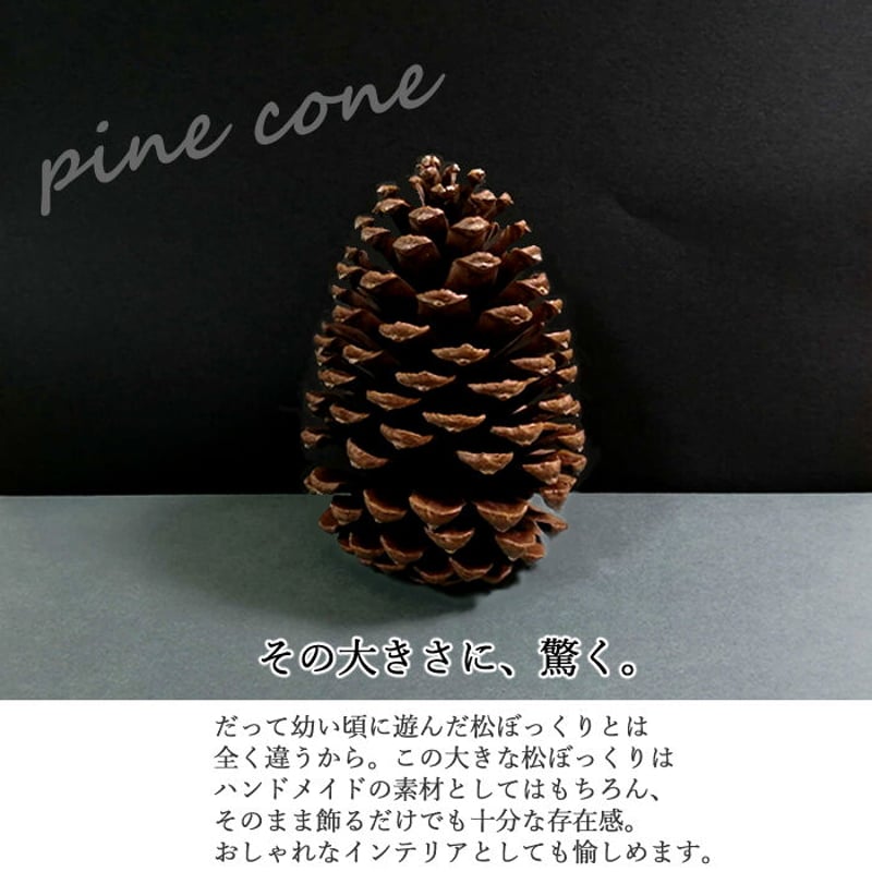 松ぼっくり Amazon | [AiO JAPAN] クリスマス 松ぼっくり 6点セット