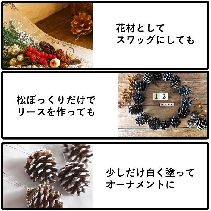 松ぼっくり【 大】3個入 10㎝~11㎝位 | hitomaki