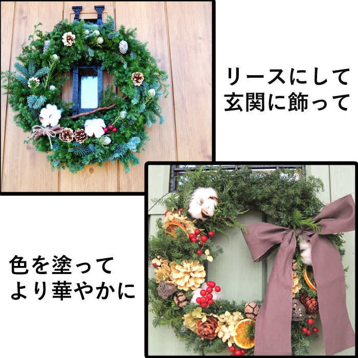 松ぼっくり【 大】3個入 10㎝~11㎝位 | hitomaki