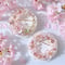 【再入荷】𝗦𝗔𝗞𝗨𝗥𝗔 ブローチ🌸 𝟮𝟬𝟮𝟲 ꒱