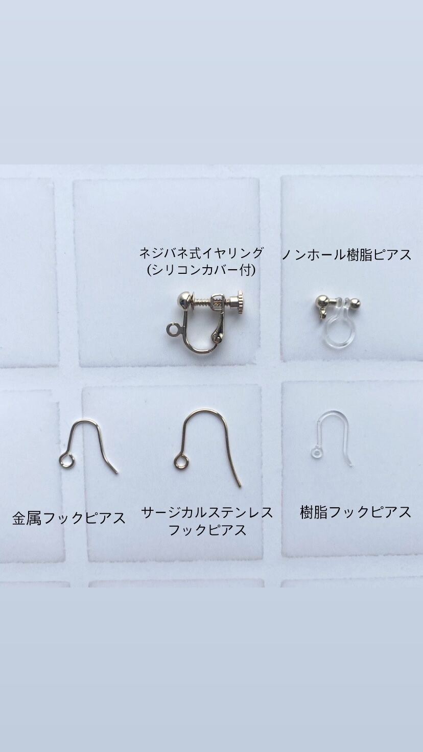 ピピandシェリー様♡専用ページ〔ネジバネイヤリング・ピアス 〕 ピピandシェリー様♡専用ページ〔ネジバネイヤリング〕 - メルカリ