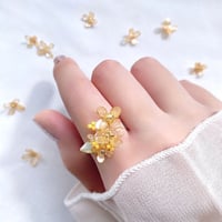 𝗞𝗶𝗻𝗺𝗼𝗸𝘂𝘀𝗲𝗶 / ring💍