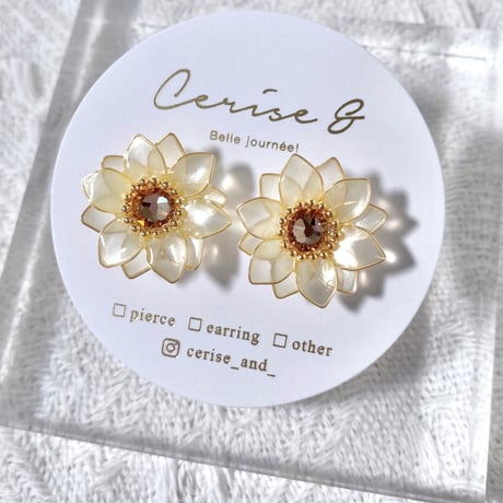 𝗛𝗶𝗺𝗮𝘄𝗮𝗿𝗶🌻 .⋆ ピアス / イヤリング