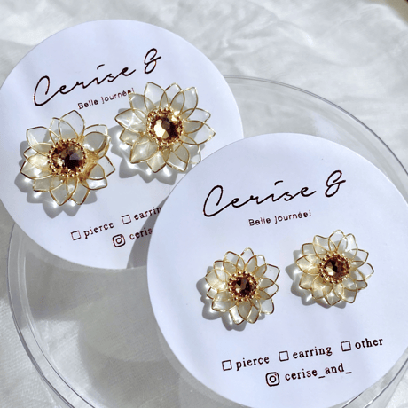 𝗛𝗶𝗺𝗮𝘄𝗮𝗿𝗶 𝟮𝟬𝟮𝟲🌻 .⋆ ピアス / イヤリング