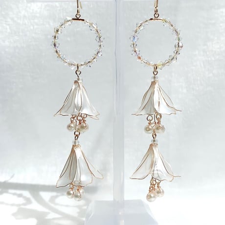 𝒃𝒓𝒊𝒔𝒆 𝒅𝒐𝒖𝒄𝒆 ピアス/イヤリング