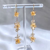 ピアス/イヤリング