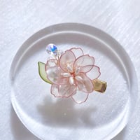 【再入荷】𝐬𝐚𝐤𝐮𝐫𝐚 𝗺𝗶𝗻𝗶 𝗵𝗮𝗶𝗿 𝗰𝗹𝗶𝗽 𝟮𝟬𝟮𝟲 🌸ヘアクリップ