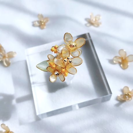 𝗞𝗶𝗻𝗺𝗼𝗸𝘂𝘀𝗲𝗶 / ring💍