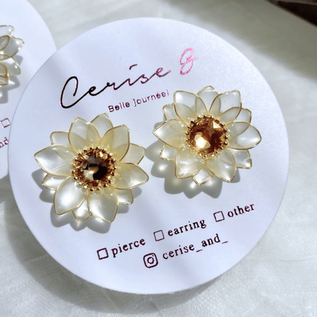 𝗛𝗶𝗺𝗮𝘄𝗮𝗿𝗶 𝟮𝟬𝟮𝟲🌻 .⋆ ピアス / イヤリング