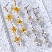 𝗞𝗶𝗻𝗺𝗼𝗸𝘂𝘀𝗲𝗶 and 𝗴𝗶𝗻𝗺𝗼𝗸𝘂𝘀𝗲𝗶  pierce /earring