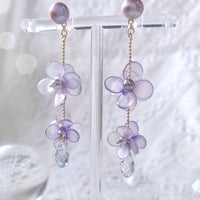 𝗵𝗼𝗿𝘁𝗲𝗻𝘀𝗶𝗮 💠 pierce / earring