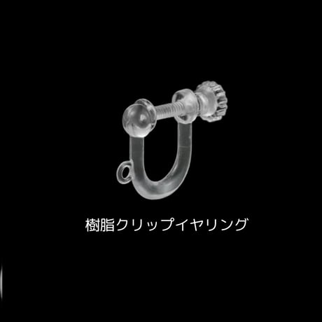 【再販】𝐻𝑖𝑟𝑎𝑟𝑖 𓂃🌸 2025   pierce / earring