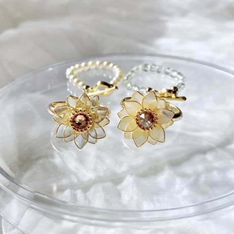 𝗛𝗶𝗺𝗮𝘄𝗮𝗿𝗶 ring set🌻౨ৎ