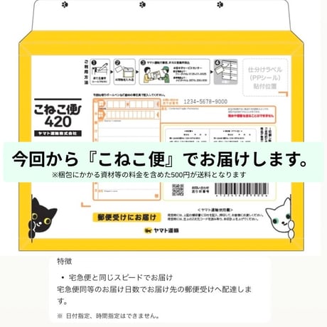 𝐑𝐮𝐛𝐚𝐧 𝗁𝖺𝗂𝗋 𝖺𝖼𝖼𝖾𝗌𝗌𝗈𝗋𝗒 🎀（３点セット）