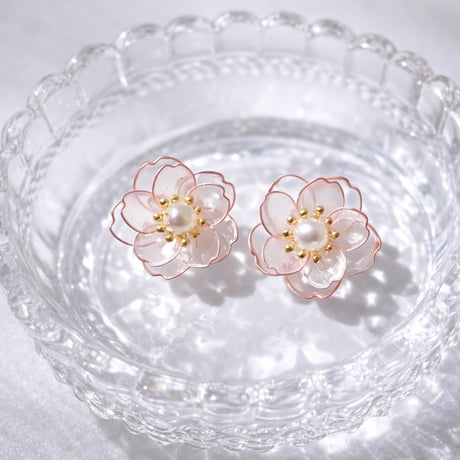 𝗽𝗲𝘁𝗶𝘁 𝗰𝗲𝗿𝗶𝘀𝗶𝗲𝗿🌸 pierce / earring