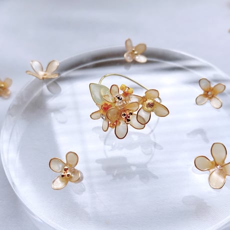 𝗞𝗶𝗻𝗺𝗼𝗸𝘂𝘀𝗲𝗶 / ring💍