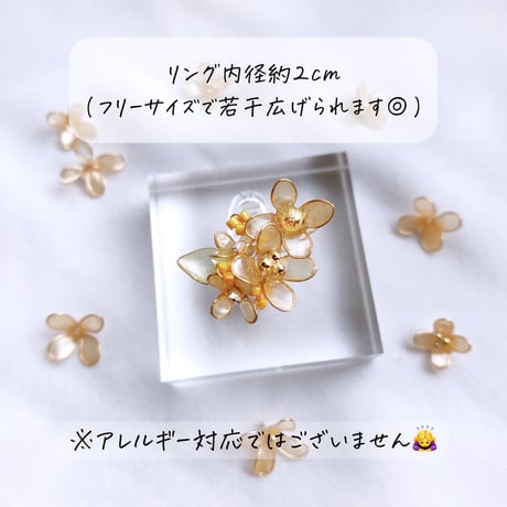 𝗞𝗶𝗻𝗺𝗼𝗸𝘂𝘀𝗲𝗶 / ring💍