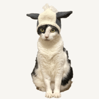 【レシピ】猫のニット帽「うし」