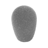WS85