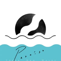 Yogee New Waves『PARAISO』[12inch Vinyl/Reissue]
