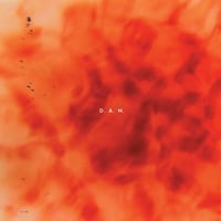 D.A.N.『D.A.N.』[12inch 2LP/Reissue] | BAYON STAND