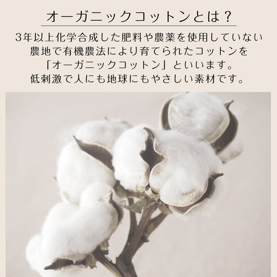 64c70e86b37ea40030d68787