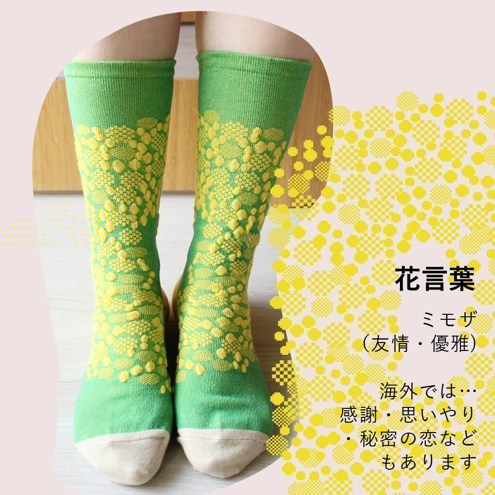 ミモザ商品 fit=scale-down,w=1200