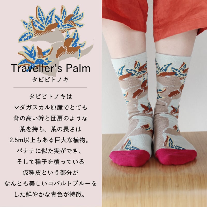 BS05 BOTANICA SOCKS -ボタニカソックス-【タビビトノキ