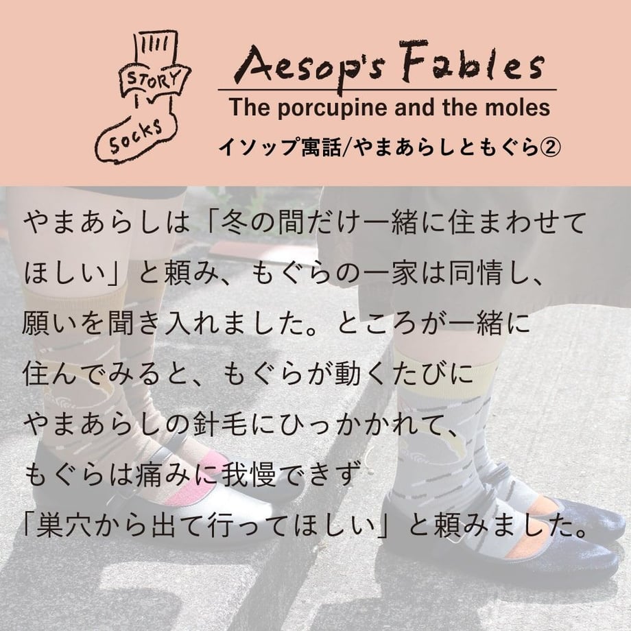6503d7f283d26a0031351395