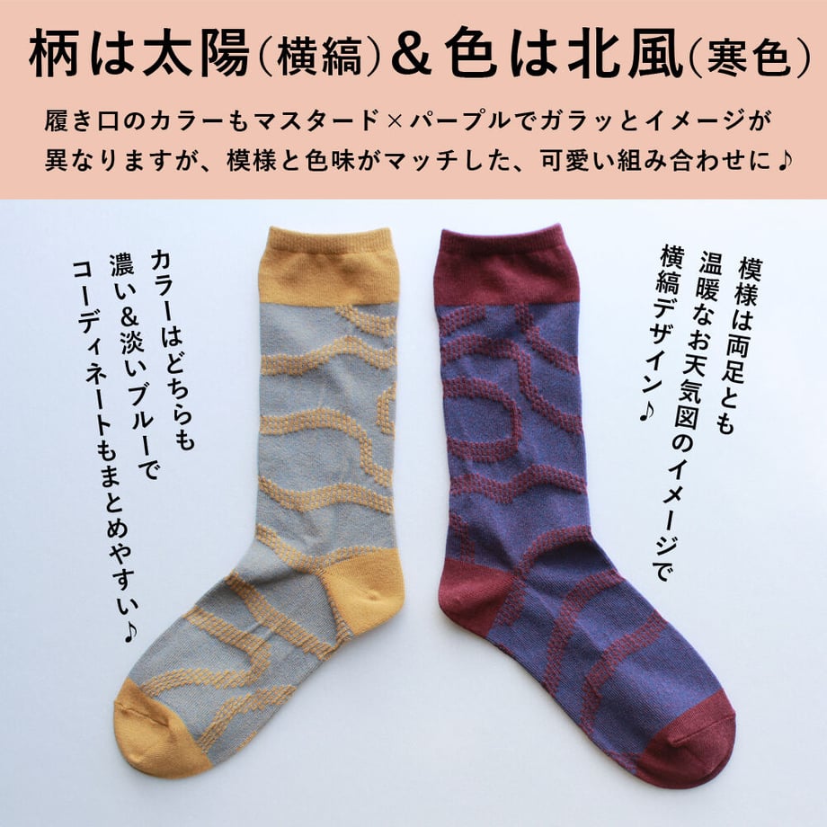 6503c566b5a95902370fa08e