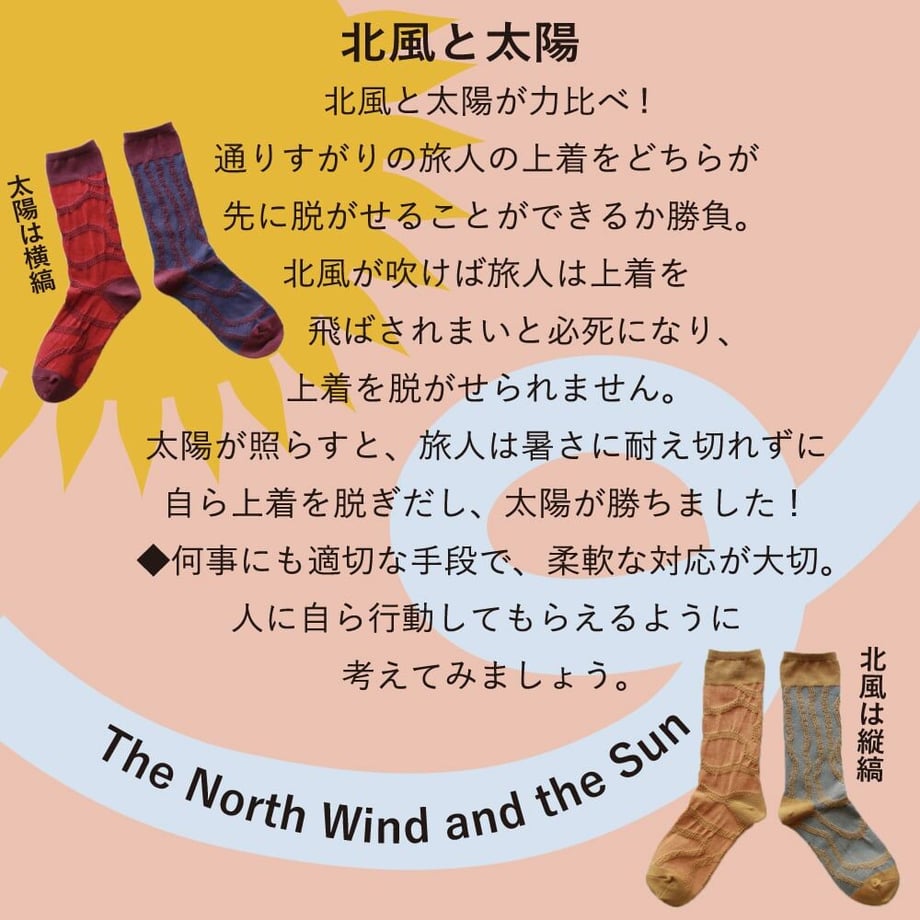 6503c566b5a95902370fa08e