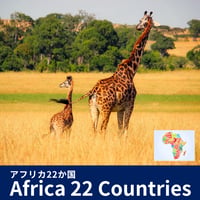 【アフリカ22か国 eSIM】5日間〜30日間 1GBから30GBまで プリペイド [ 4G / 5G ] データ通信専用 Africa 22 Countries SIM